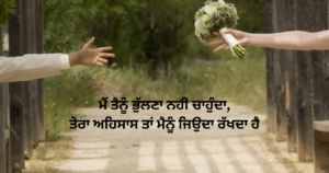 Punjabi Quotes - Love Quotes in punjabi