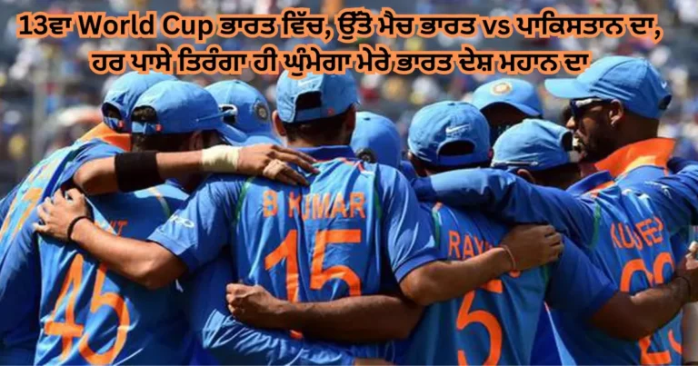 Cricket Shayari in punjabi - Cricket quotes Punjabi - Top 50 IPL Cricket Shayari quotes
