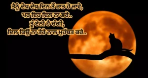 Good night Shayari in Punjabi - Punjabi Good night Love quotes - ਗੁੱਡ ਨਾਇਟ status in punjabi language