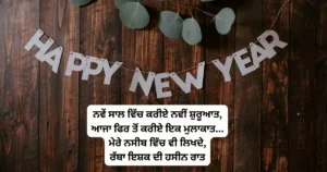Happy New Year Wishes in Punjabi - New Year Shayari 2024 in Punjabi